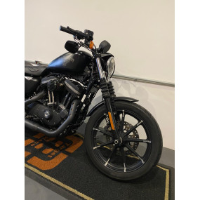 Harley Davidson XL883N