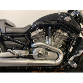 Harley Davidson V Rod 1250 Muscle