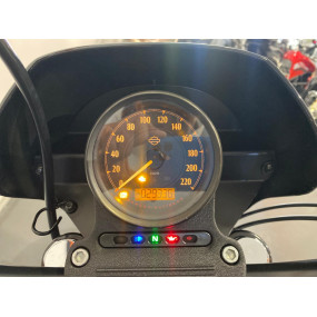 Harley Davidson XL 1200 Iron
