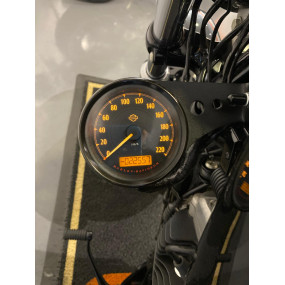 Harley Davidson XL 1200X Forty Eight
