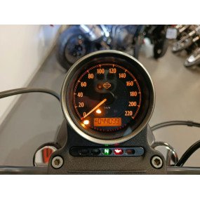 Harley Davidson XL 883 N