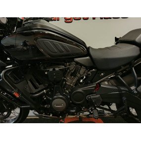 Harley Davidson RA1250 S Pan America